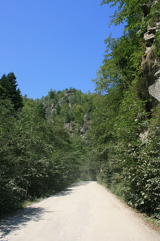 Original image